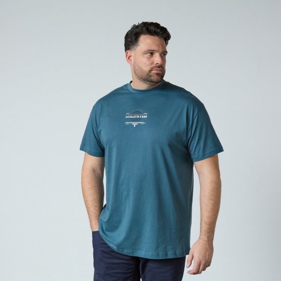 North Latitude T-Shirt With Print Azul - Camisetas - Camisetas - 2XL-14XL