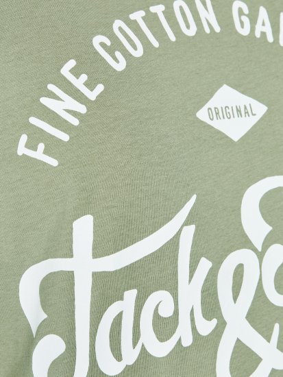 Jack & Jones JJERAFA TEE Light Green - Camisetas - Camisetas - 2XL-14XL