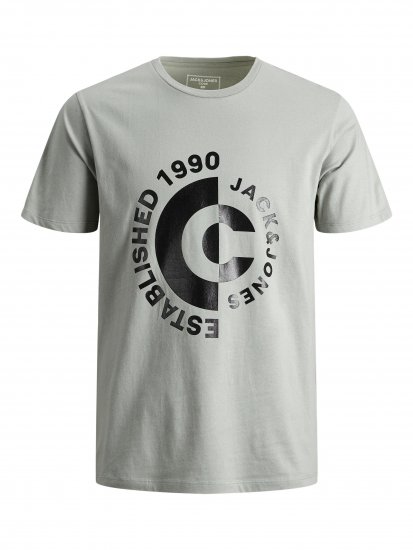 Jack & Jones JCOSPRING T-Shirt Gray - Camisetas - Camisetas - 2XL-14XL
