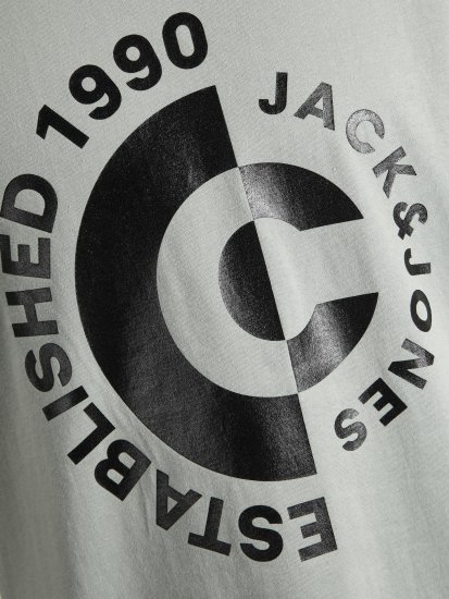 Jack & Jones JCOSPRING T-Shirt Gray - Camisetas - Camisetas - 2XL-14XL