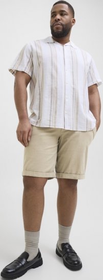Jack & Jones Dave Chino Shorts Beige - Pantalones cortos - Pantalones cortos W40-W60