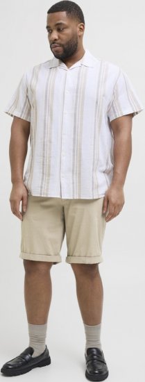 Jack & Jones Dave Chino Shorts Beige - Pantalones cortos - Pantalones cortos W40-W60