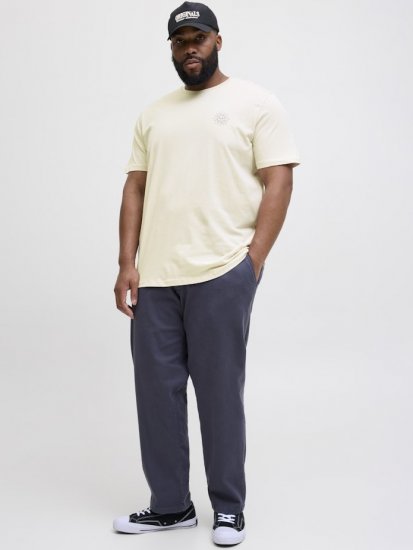 Jack & Jones Jackie Crew Neck T-Shirt Moonbeam - Camisetas - Camisetas - 2XL-14XL