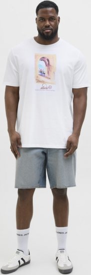Jack & Jones Hydra Crew Neck T-Shirt Bright White - Camisetas - Camisetas - 2XL-14XL