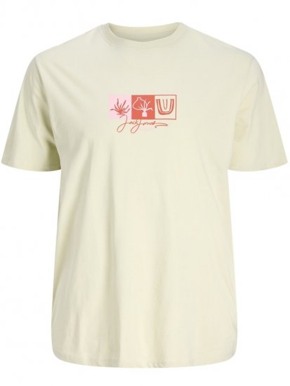 Jack & Jones Canggu Crew Neck T-Shirt Celadon Tint - Camisetas - Camisetas - 2XL-14XL