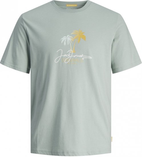 Jack & Jones JORCASEY T-Shirt Crew Neck Gray Mist - Camisetas - Camisetas - 2XL-14XL