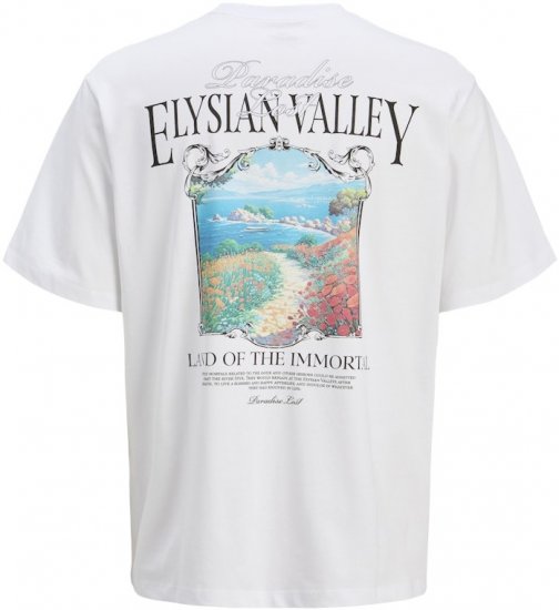 Jack & Jones Parallel Crew Neck T-Shirt Bright White - Camisetas - Camisetas - 2XL-14XL
