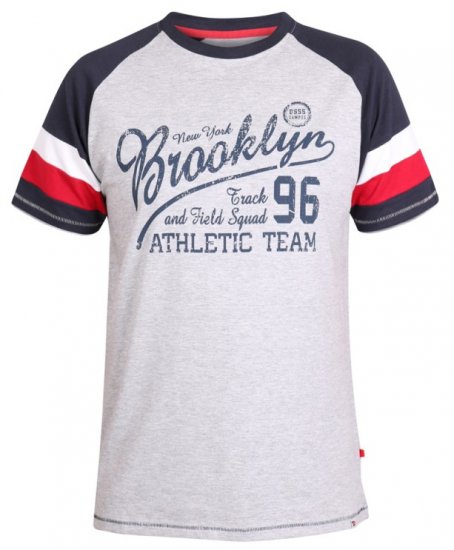 D555 Jones T-shirt Grey - Camisetas - Camisetas - 2XL-14XL