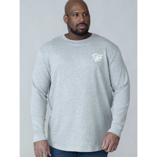 D555 Plato Long Sleeve T-shirt Grey - Camisetas - Camisetas - 2XL-14XL