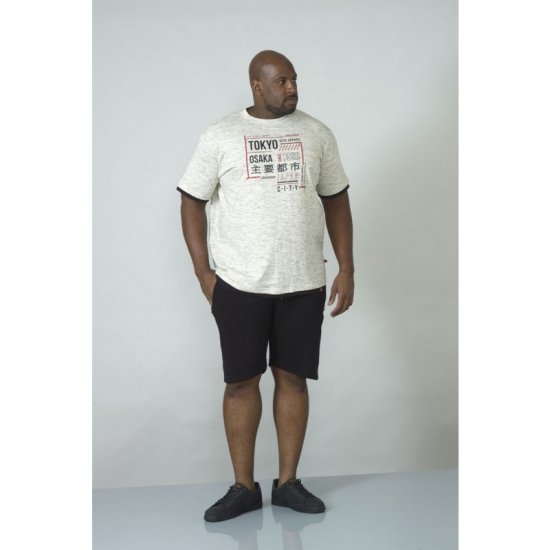 D555 Merlin T-shirt Grey - Camisetas - Camisetas - 2XL-14XL