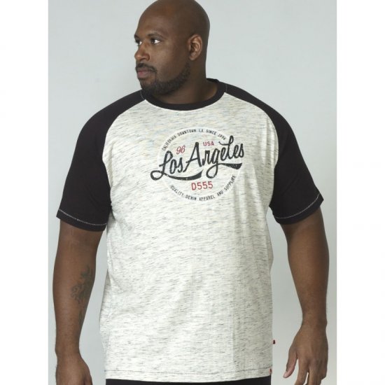 D555 Judson T-shirt Grey - Camisetas - Camisetas - 2XL-14XL