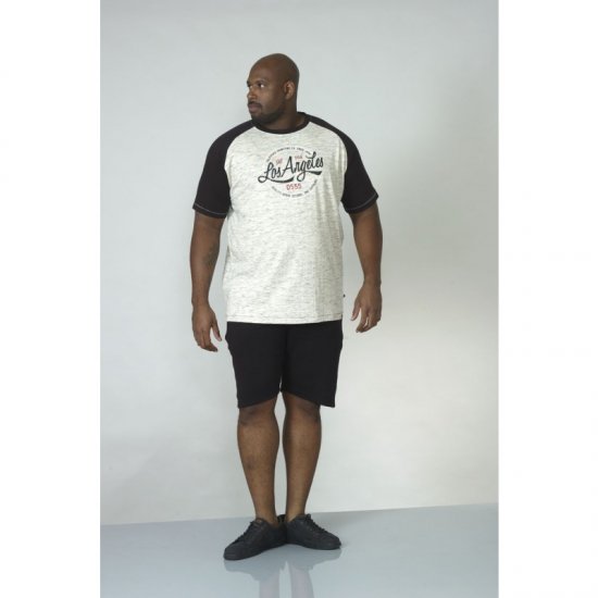 D555 Judson T-shirt Grey - Camisetas - Camisetas - 2XL-14XL