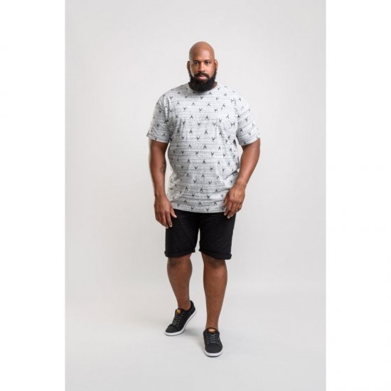 D555 Dario T-shirt Grey - Camisetas - Camisetas - 2XL-14XL