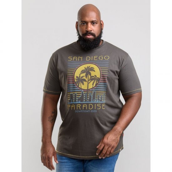 D555 Stanley T-shirt Khaki - Camisetas - Camisetas - 2XL-14XL
