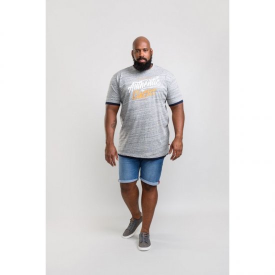 D555 Finn T-shirt Grey - Camisetas - Camisetas - 2XL-14XL