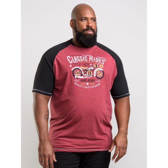 D555 Evans T-shirt Burgundy - Camisetas - Camisetas - 2XL-14XL