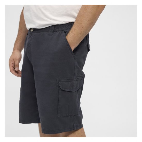 North Latitude Cargo Shorts Navy Blue - Pantalones cortos - Pantalones cortos W40-W60
