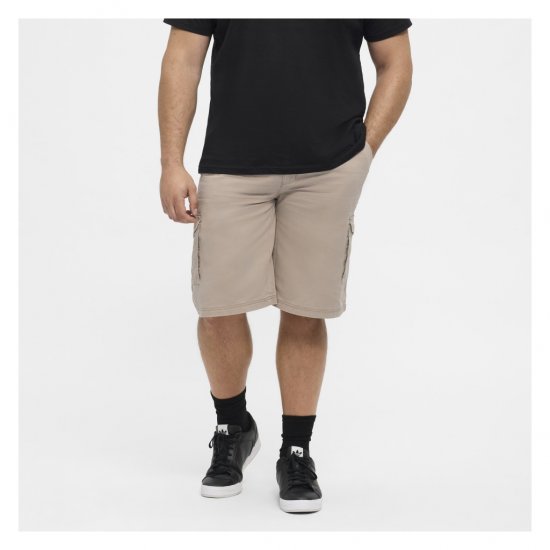 North Latitude Cargo Shorts Sand - Pantalones cortos - Pantalones cortos W40-W60