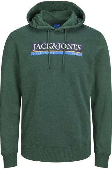 Jack & Jones Codyy Hoodie Green - Sudaderas - Sudaderas 2XL-12XL