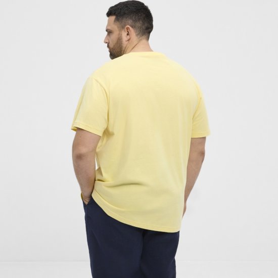 North Latitude T-Shirt Printed Short Sleeve Yellow - Camisetas - Camisetas - 2XL-14XL
