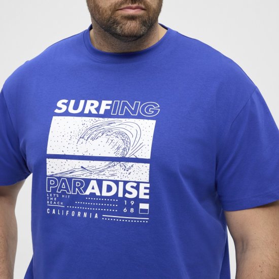 North Latitude T-Shirt Printed Blue - Camisetas - Camisetas - 2XL-14XL