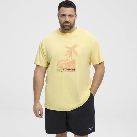 North Latitude T-Shirt Printed Yellow - Camisetas - Camisetas - 2XL-14XL
