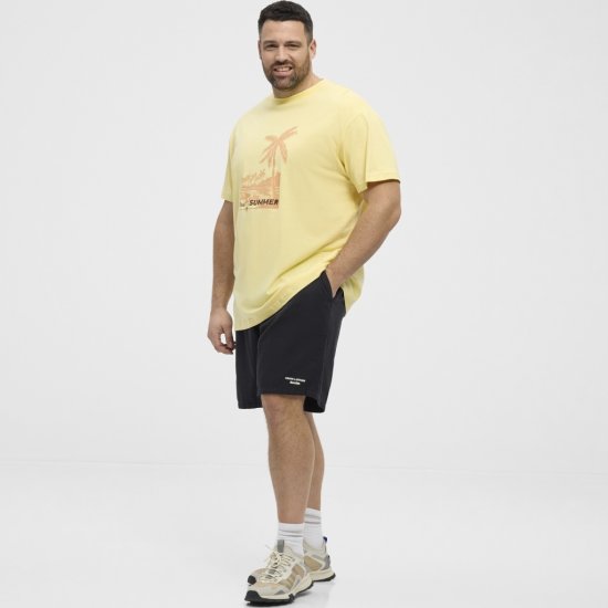 North Latitude T-Shirt Printed Yellow - Camisetas - Camisetas - 2XL-14XL