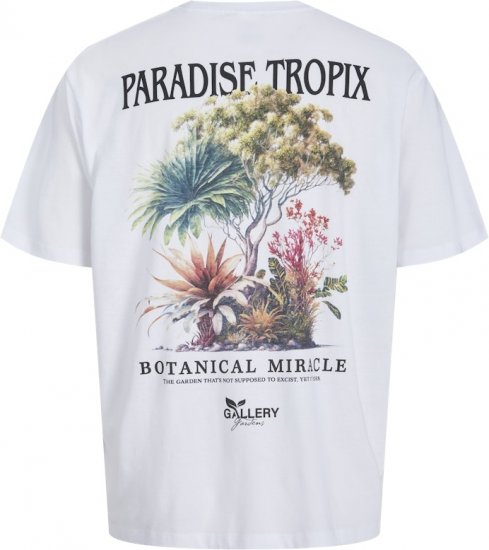 Jack & Jones Botaniq Crew Neck T-Shirt Bright White - Camisetas - Camisetas - 2XL-14XL