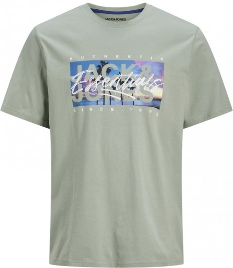 Jack & Jones Colton Photoprint Crew Neck T-Shirt Iceberg Green - Camisetas - Camisetas - 2XL-14XL