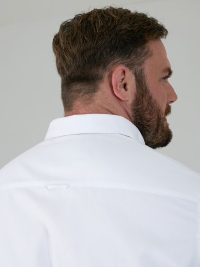 D555 Richard Camisa Oxford De Manga Larga TALL Blanca - TALL camisas - 