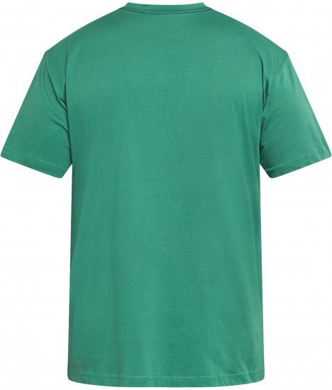 North Latitude 61121 Camiseta Estampada Verde - Camisetas - Camisetas - 2XL-14XL
